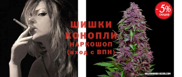 mix Богородицк