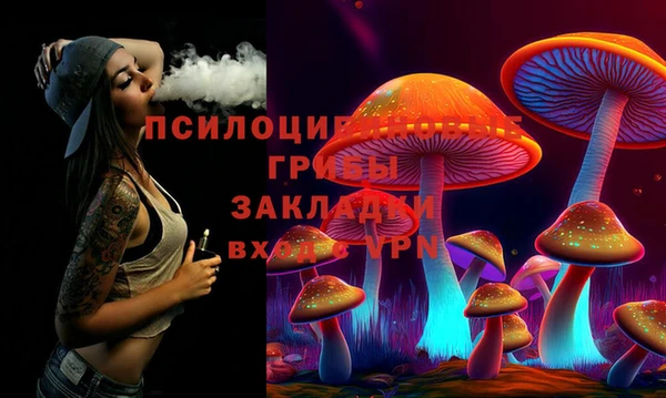 mix Богородицк