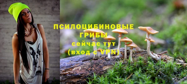 mix Богородицк