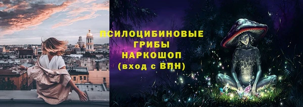 бутират Богданович