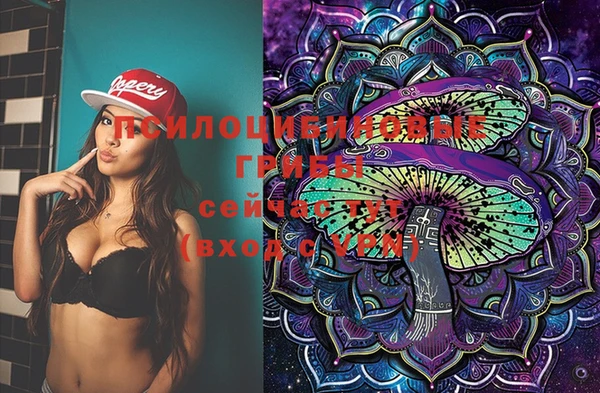 mix Богородицк