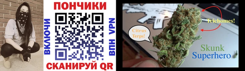 Шишки марихуана конопля  ОМГ ОМГ маркетплейс  Новый Оскол  купить наркотики цена 